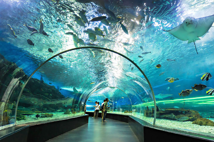香港海洋公园水族馆图片